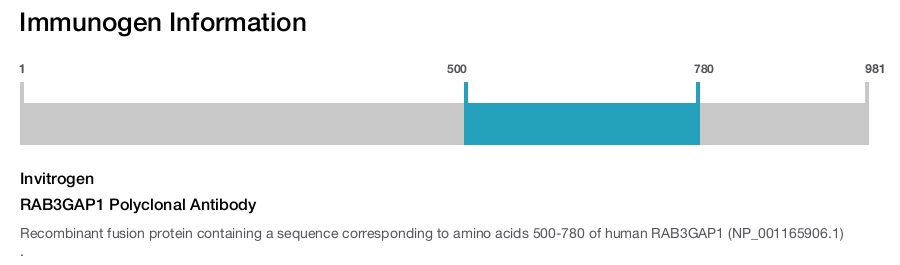 RAB3GAP1 Polyclonal Antibody