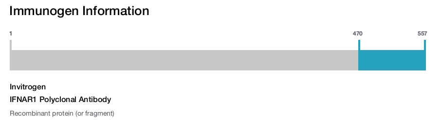 IFNAR1 Polyclonal Antibody