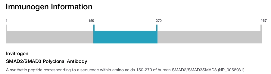 SMAD2/SMAD3 Polyclonal Antibody