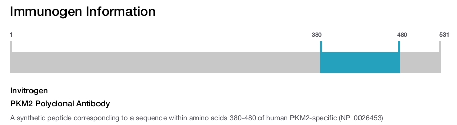 PKM2 Polyclonal Antibody
