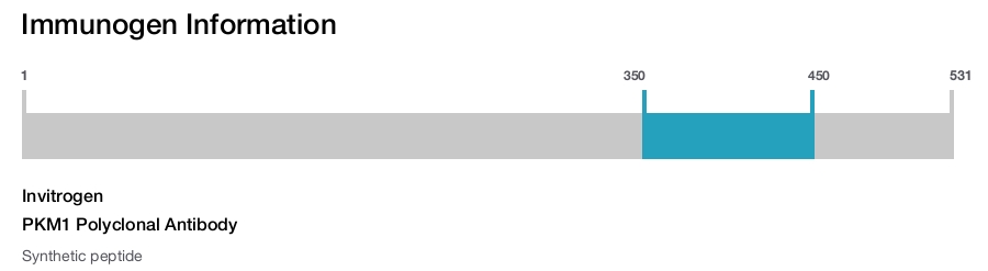 PKM1 Polyclonal Antibody
