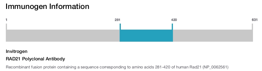 RAD21 Polyclonal Antibody