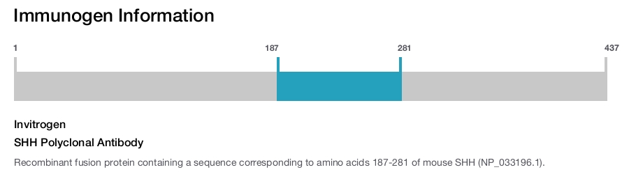 SHH Polyclonal Antibody