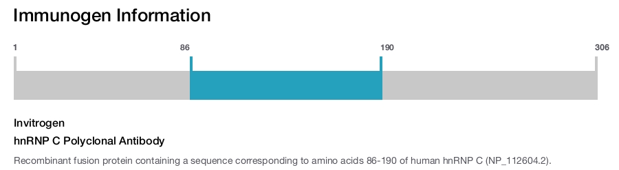 hnRNP C Polyclonal Antibody
