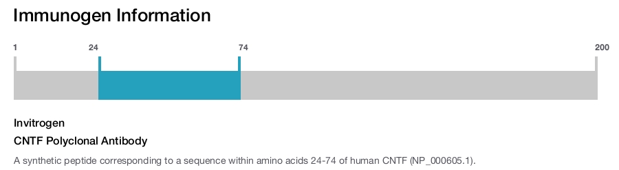 CNTF Polyclonal Antibody