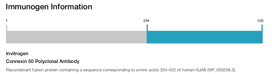 Connexin 50 Polyclonal Antibody
