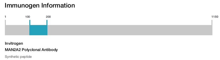 MAN2A2 Polyclonal Antibody