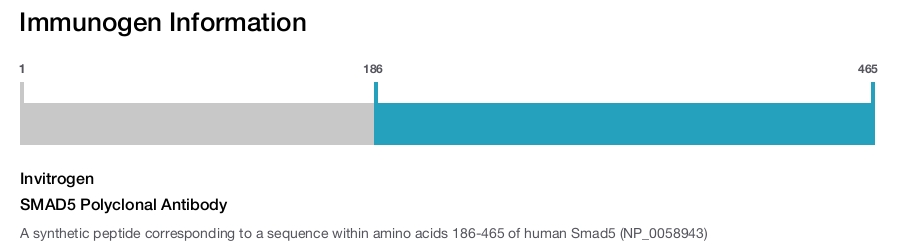 SMAD5 Polyclonal Antibody