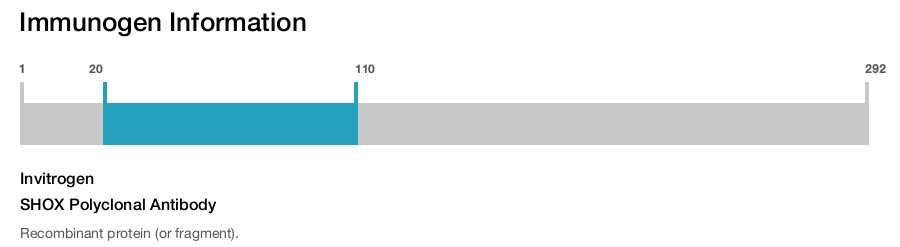 SHOX Polyclonal Antibody