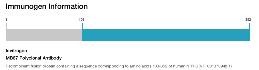 MB67 Polyclonal Antibody