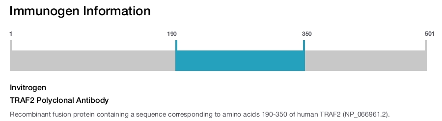 TRAF2 Polyclonal Antibody