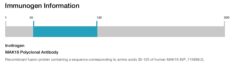 MAK16 Polyclonal Antibody