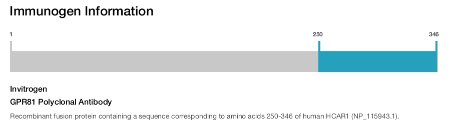 GPR81 Polyclonal Antibody
