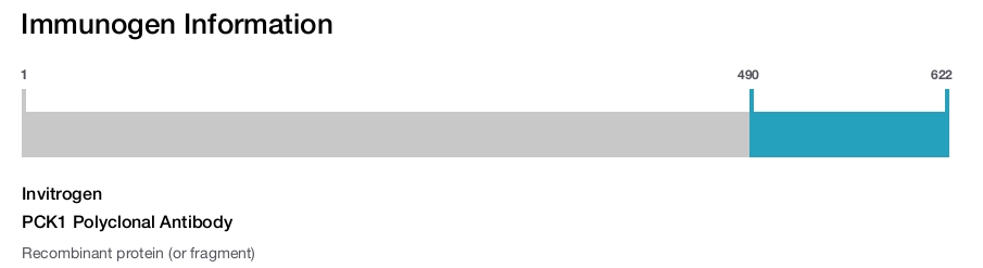 PCK1 Polyclonal Antibody