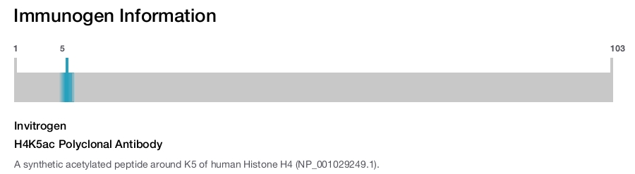 H4K5ac Polyclonal Antibody