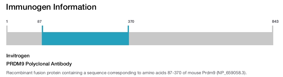 PRDM9 Polyclonal Antibody