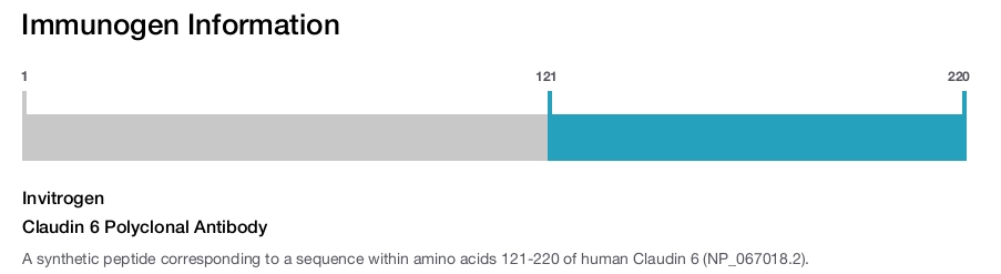 Claudin 6 Polyclonal Antibody