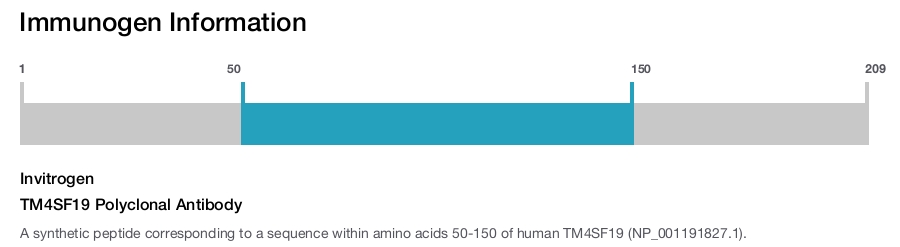 TM4SF19 Polyclonal Antibody