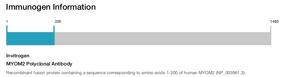 MYOM2 Polyclonal Antibody
