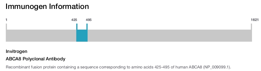 ABCA8 Polyclonal Antibody