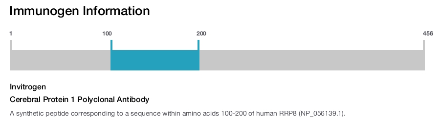 Cerebral Protein 1 Polyclonal Antibody