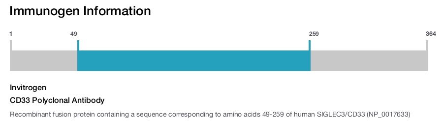 CD33 Polyclonal Antibody