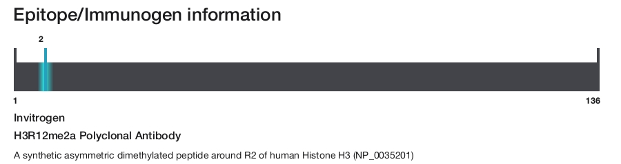 H3R12me2a Polyclonal Antibody
