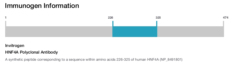 HNF4A Polyclonal Antibody