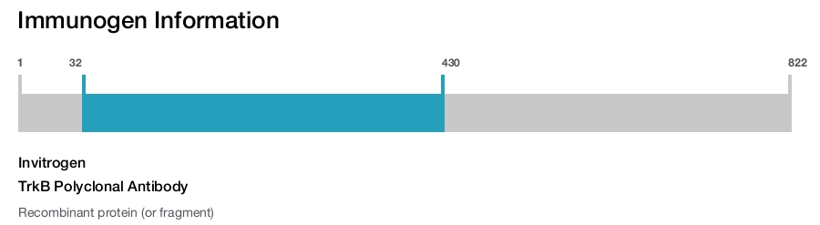 TrkB Polyclonal Antibody