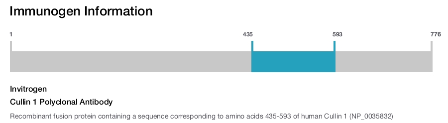 Cullin 1 Polyclonal Antibody