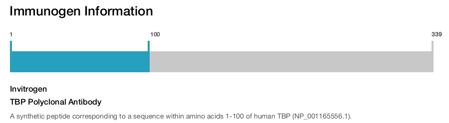 TBP Polyclonal Antibody
