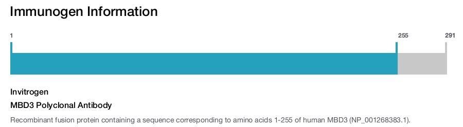 MBD3 Polyclonal Antibody