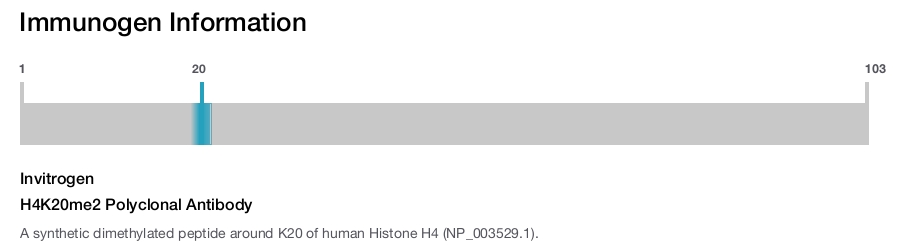H4K20me2 Polyclonal Antibody