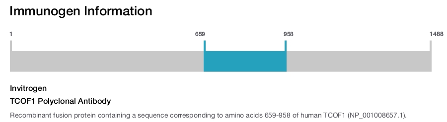 TCOF1 Polyclonal Antibody