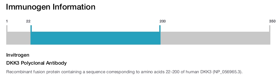 DKK3 Polyclonal Antibody