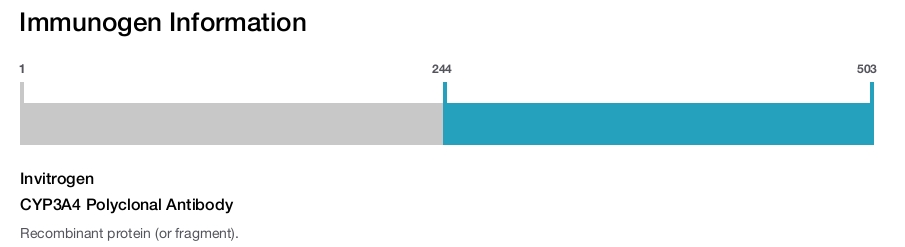 CYP3A4 Polyclonal Antibody