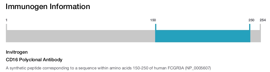 CD16 Polyclonal Antibody