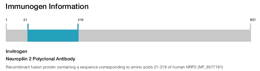 Neuropilin 2 Polyclonal Antibody