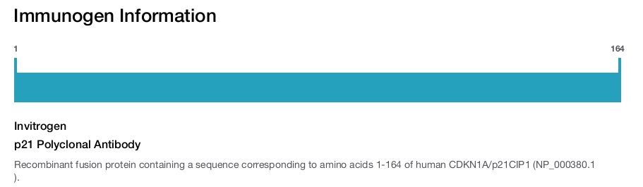 p21 Polyclonal Antibody