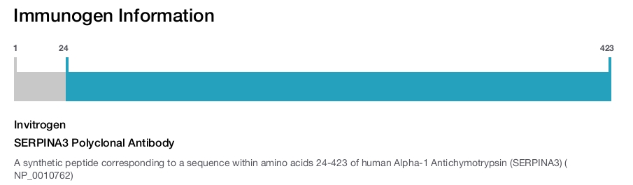SERPINA3 Polyclonal Antibody