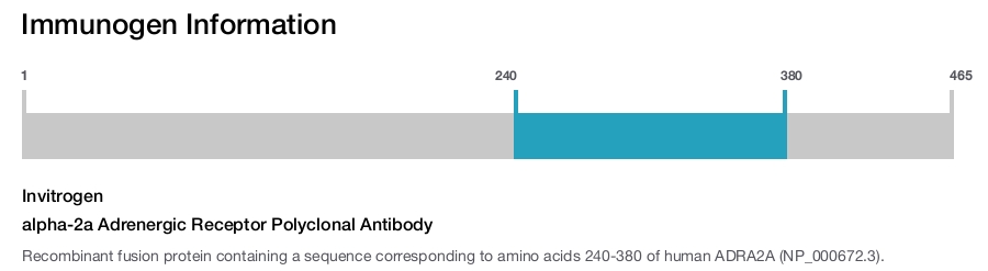 alpha-2a Adrenergic Receptor Polyclonal Antibody