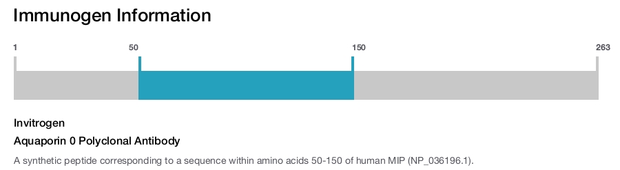 Aquaporin 0 Polyclonal Antibody