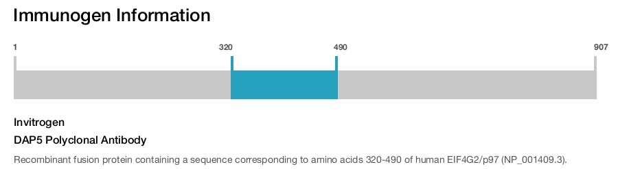 DAP5 Polyclonal Antibody