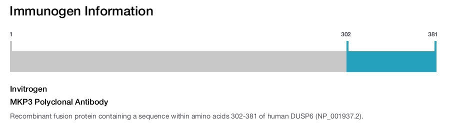 MKP3 Polyclonal Antibody