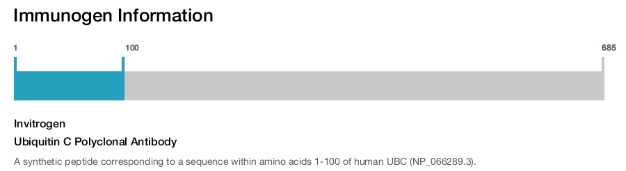 Ubiquitin C Polyclonal Antibody