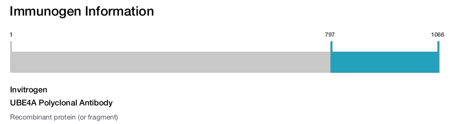 UBE4A Polyclonal Antibody