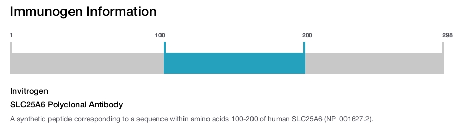 SLC25A6 Polyclonal Antibody