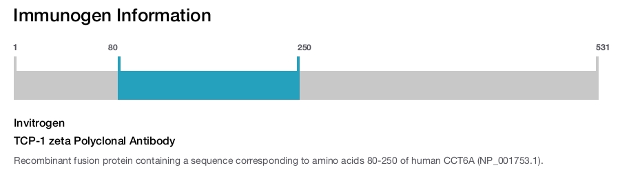 TCP-1 zeta Polyclonal Antibody