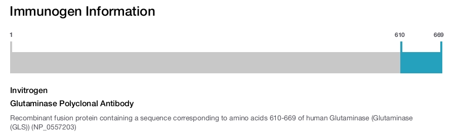 Glutaminase Polyclonal Antibody