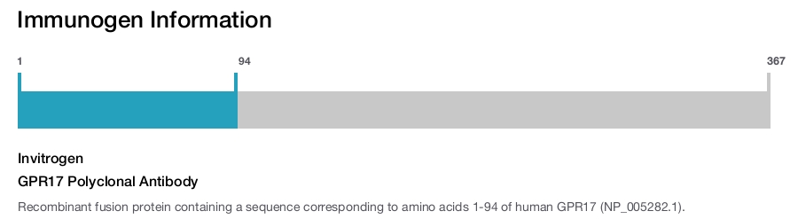 GPR17 Polyclonal Antibody